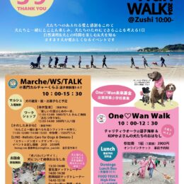 One ♡ Wan WALK 2024＠逗子