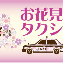 ＜体験レポ＞桜咲く秦野盆地を欲張りに楽しみたい！「お花見タクシー」を使ったら、大満足のお花見ができた