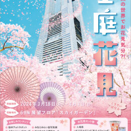 日本最高速エレベーターでお花見会場へ！2024年3月・横浜ランドマークタワー展望フロアで『空庭花見(くうていはなみ)』開催