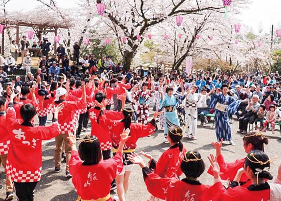 参加者を募集中！飯山桜まつり 一緒に盛り上げよう （2024年3月30・31日開催）