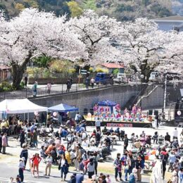 「やまきた桜まつり」２０２４年は完全復活で盛大に！イベント盛りだくさん〈３月25日～４月８日〉