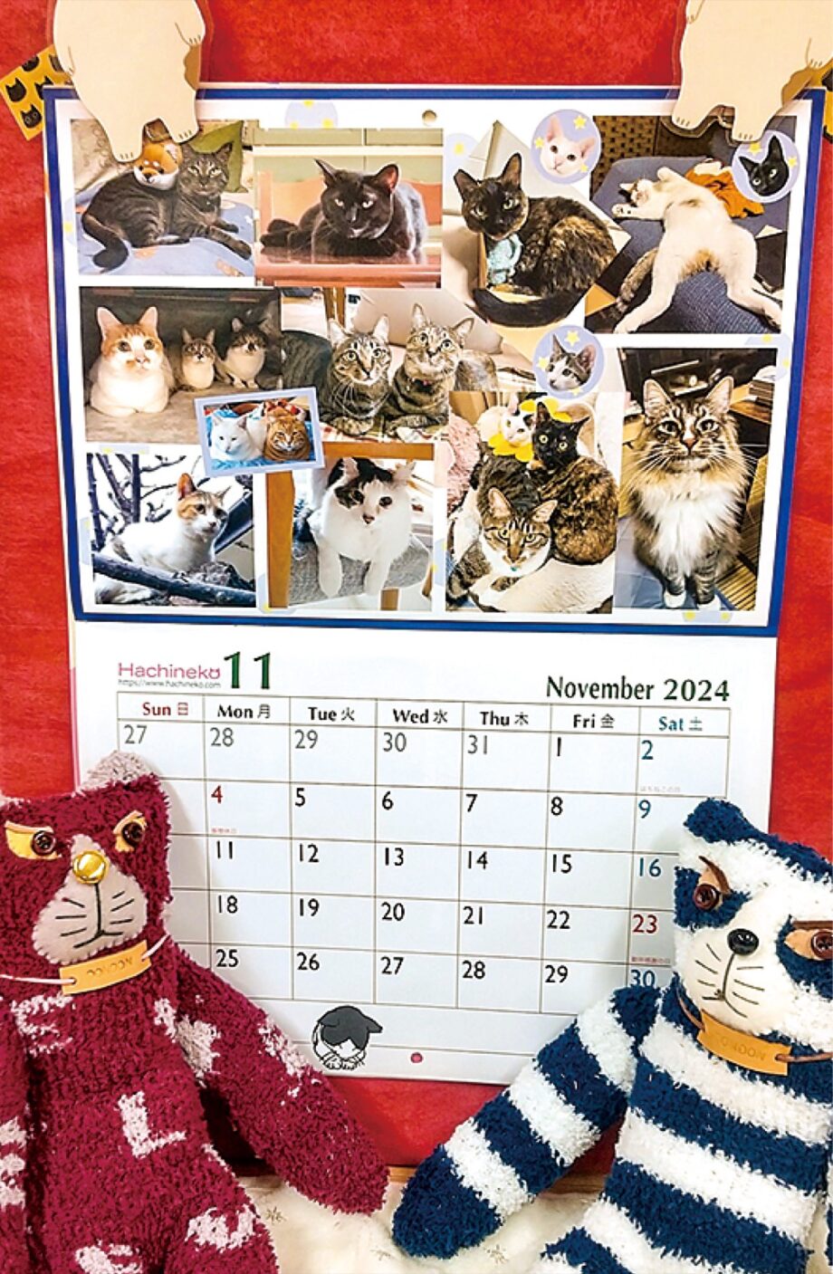 【保護猫の医療費になる】保護猫活動を行う八王子市内団体「はちねこ」がチャリティカレンダー販売