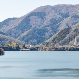 〈見頃予想は４月初〉丹沢湖周辺の山桜や枝垂れ桜も見逃せない観桜スポット