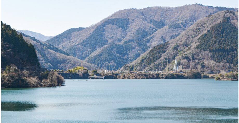〈見頃予想は４月初〉丹沢湖周辺の山桜や枝垂れ桜も見逃せない観桜スポット