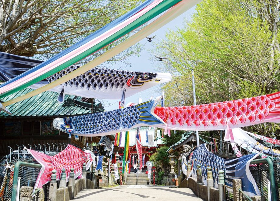 三﨑・海南神社で春かぜそよそよ～カラフルこいのぼりが悠々と5/6まで泳ぐ～