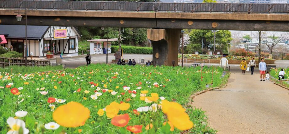 〈5/18〉花とグルメ楽しむ１日ー横須賀市くりはま花の国でフェア開催ー入場無料