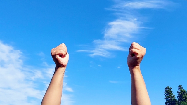 【事前申込不要・参加者募集】5月11日「みんなで川をきれいに！柏尾川大清掃」＠横浜市戸塚区柏尾川　