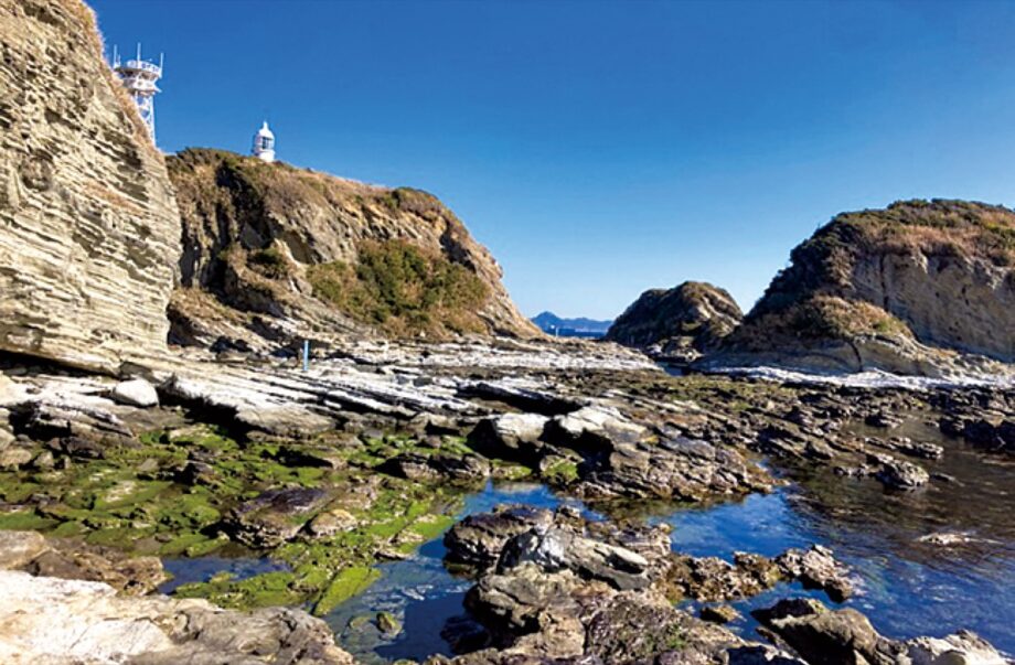 【参加者募集】三浦市社会福祉協議会主催・陽春の剣崎未病ウォーク＜4月25日＞