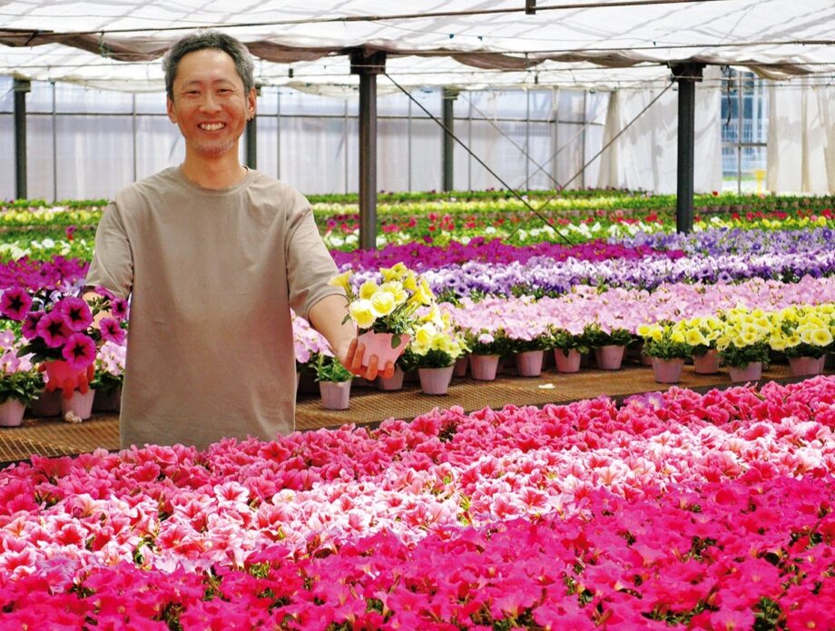 吉川農園の発色の良い13色の春の花「ペチュニア」が最盛期＠平塚市 あさつゆ広場