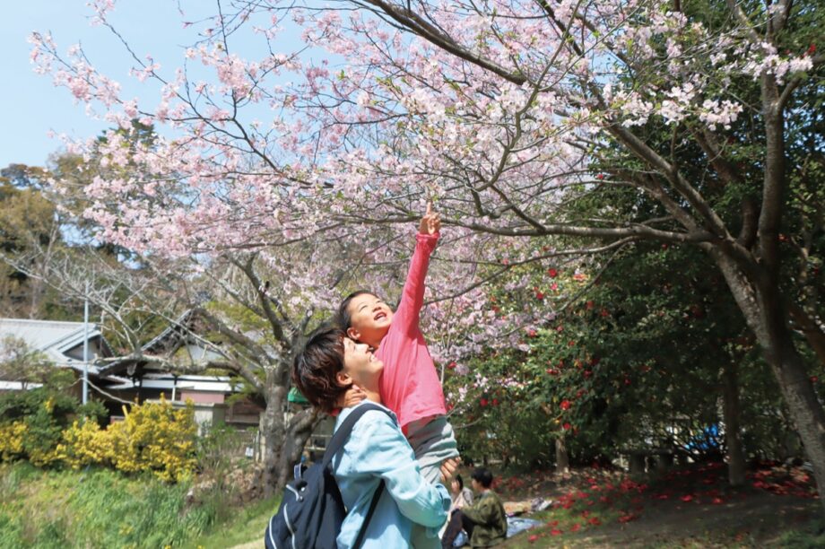 「やっと会えたね」鎌倉・葛原岡神社のソメイヨシノが見頃＠源氏山公園隣接