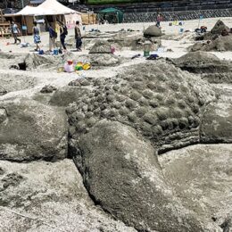 砂のアートに挑戦！！こどもの日に逗子海岸で開催【市内在住・在学・在勤の方参加募集】