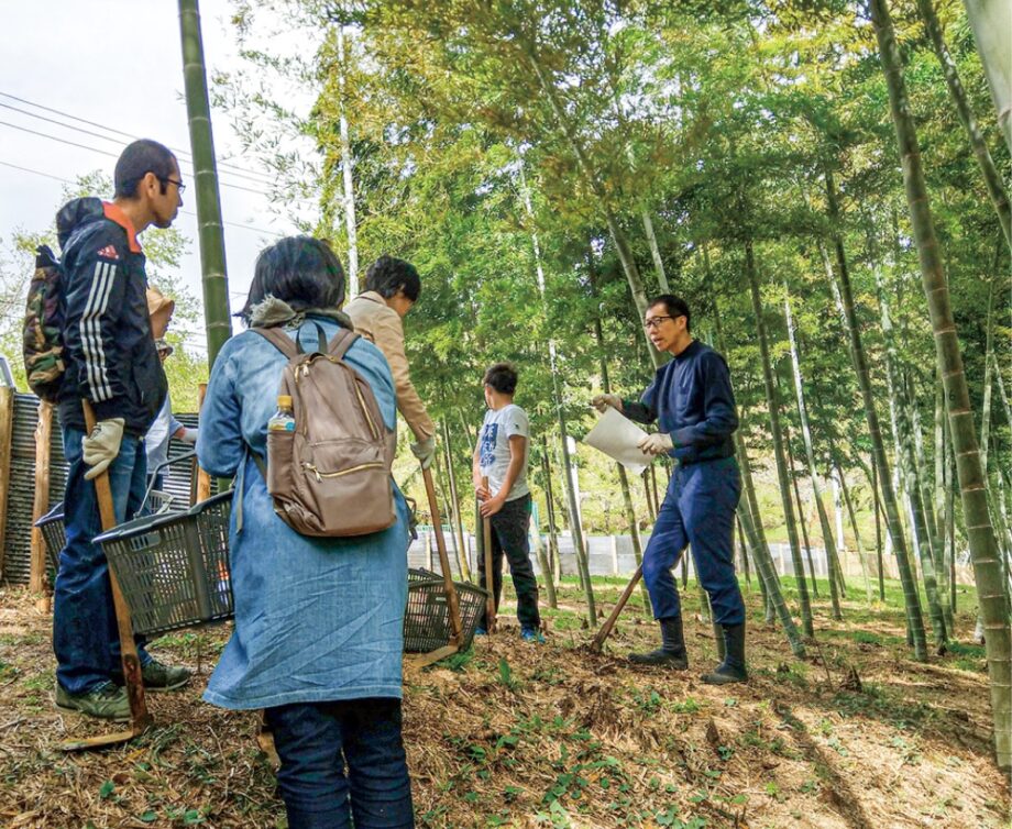 小田原・辻村植物公園で春の風物詩「タケノコ掘り体験」開催〈４月６日、13日、21日〉