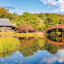 横浜市金沢区の称名寺でライトアップ