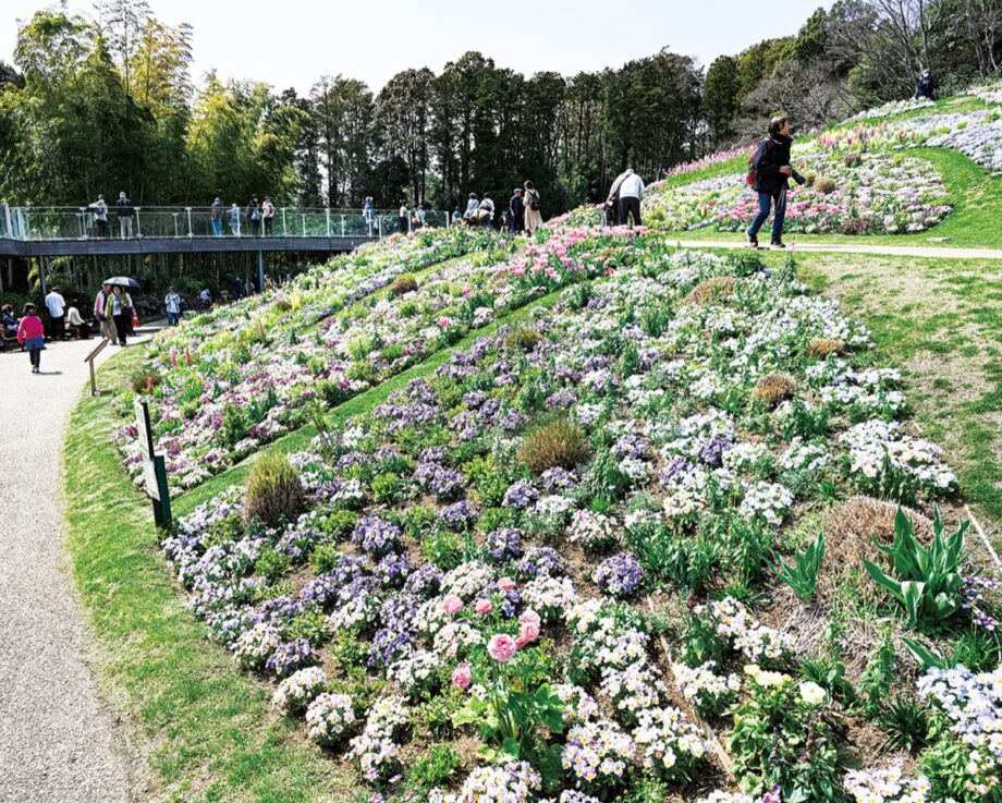 華やぐ春を満喫「里山ガーデンフェスタ」５月６日まで＠横浜市旭区上白根町　里山ガーデン