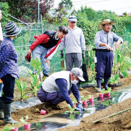 ＜飯山農楽校＞厚木市の里地里山活動団体