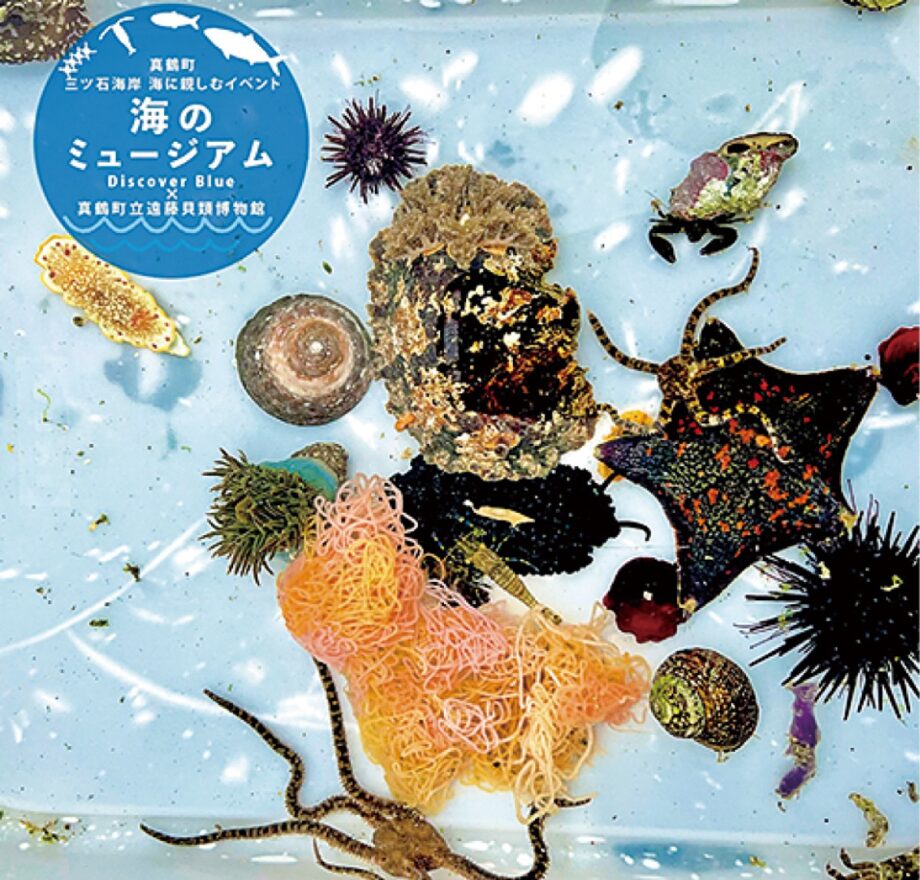 真鶴町三ツ石海岸で「海のミュージアム」開催！磯の生物観察会と海の自然実感教室