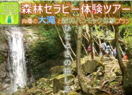 【参加者募集】6/29「向暑の大滝と森林ハンモック体験」さくらの湯無料入浴券付き！
