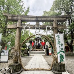 川崎区・稲毛神社で「水無月大祓式」【20205年６月30日】七夕飾りの短冊に願い事も