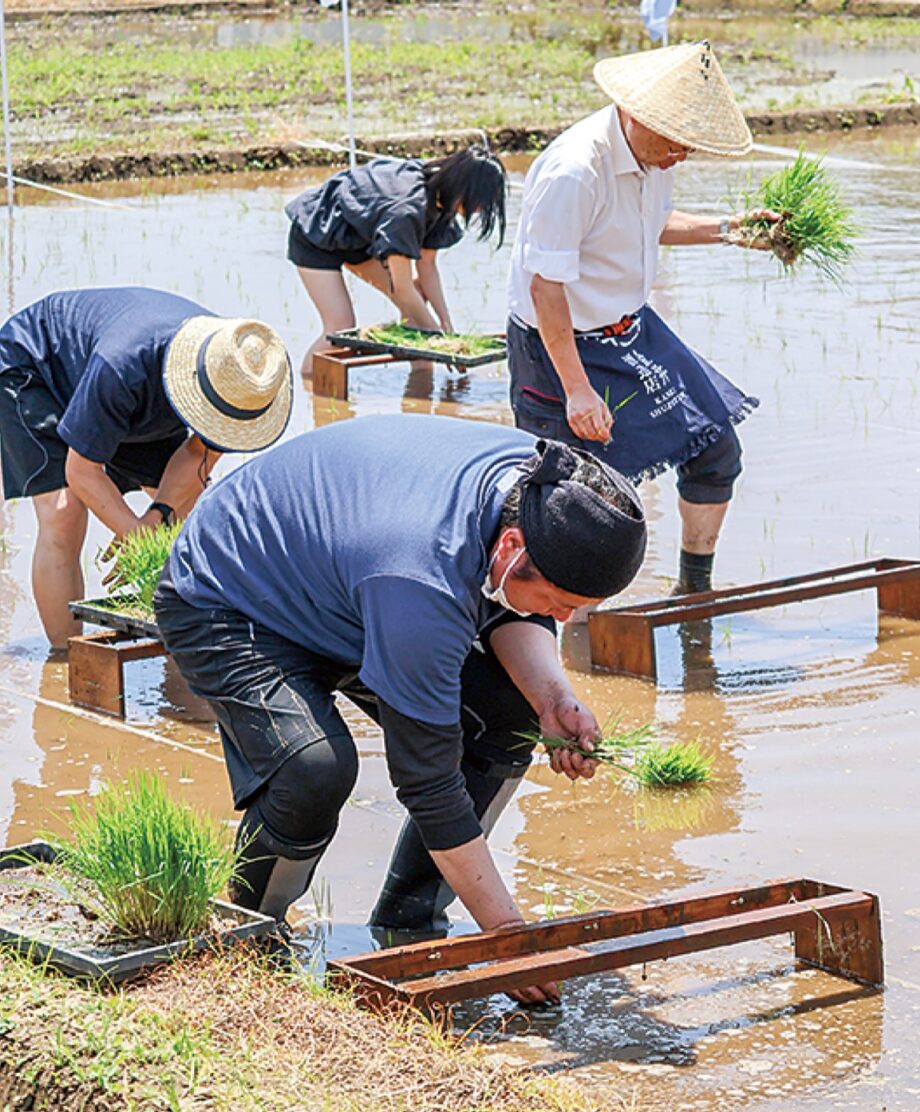 秦野市「金井酒造店」2024年酒米の田植え