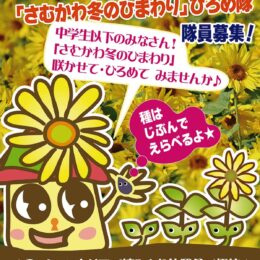 中学生以下の皆さん！2024｢さむかわ冬のひまわり｣ひろめ隊募集＠寒川町観光協会