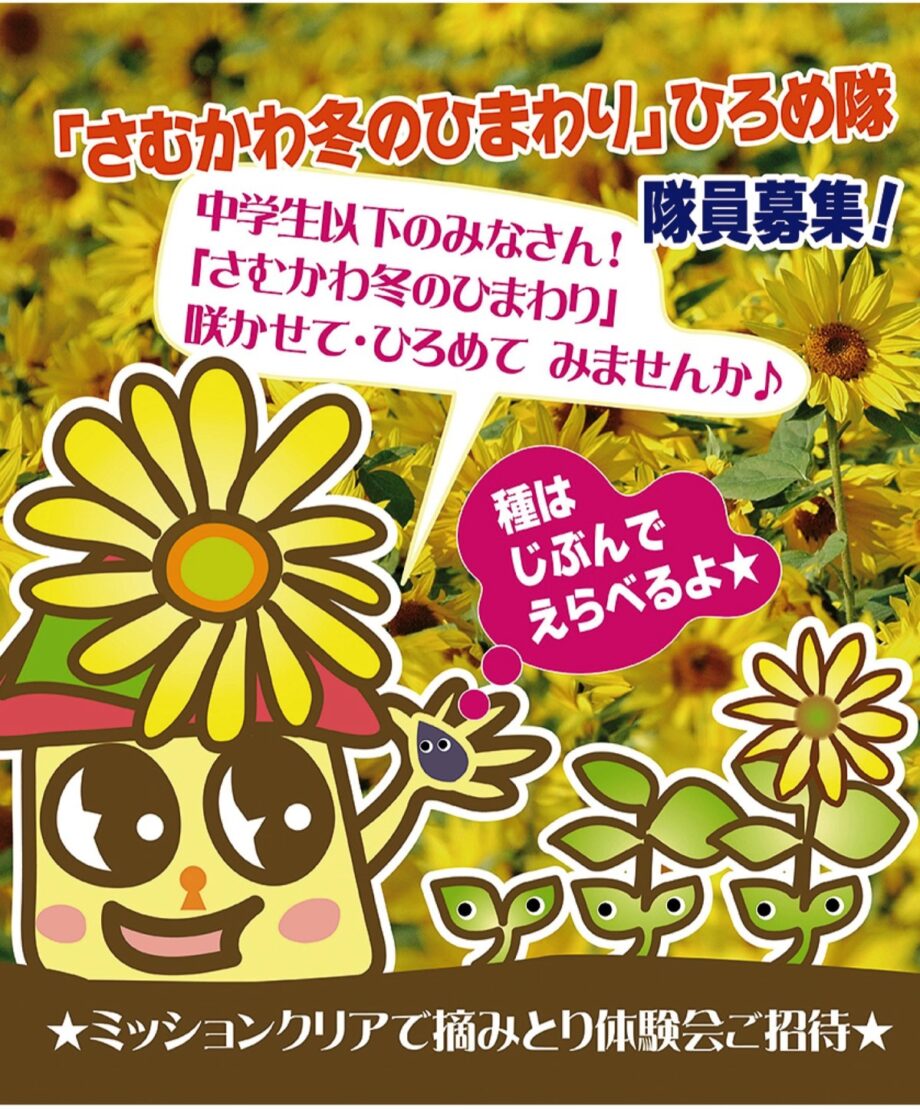 中学生以下の皆さん！2024｢さむかわ冬のひまわり｣ひろめ隊募集＠寒川町観光協会