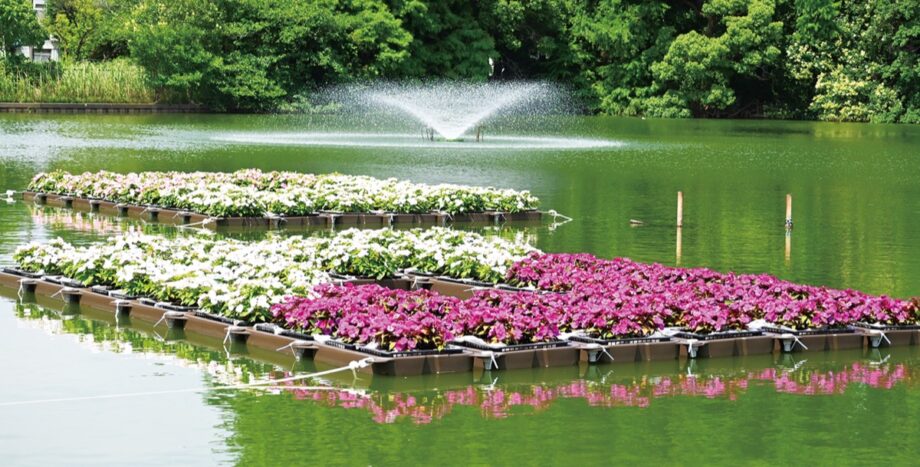 ＜川崎市中原区・等々力緑地＞池に浮かぶ｢花壇｣誕生～「サンパチェンス(R)」の花が８色860株咲く