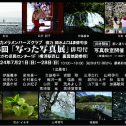 横浜駅近くのかながわ県民センターで「俳句と楽しむ写真展」撮影講座も
