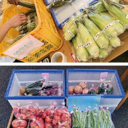 【７月７日】川崎市高津区・エヌアセットで「野菜市」地元産の新鮮野菜を販売～旬の野菜や珍しい野菜も