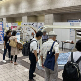 【取材レポ】今すぐできる地震対策。横浜市の「防災ベッドってなに？展」で体験してみた。