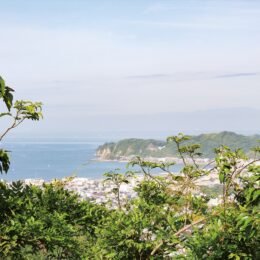 【鎌倉とっておき】古都の縁（鎌倉と京都）―衣張山と衣笠山―