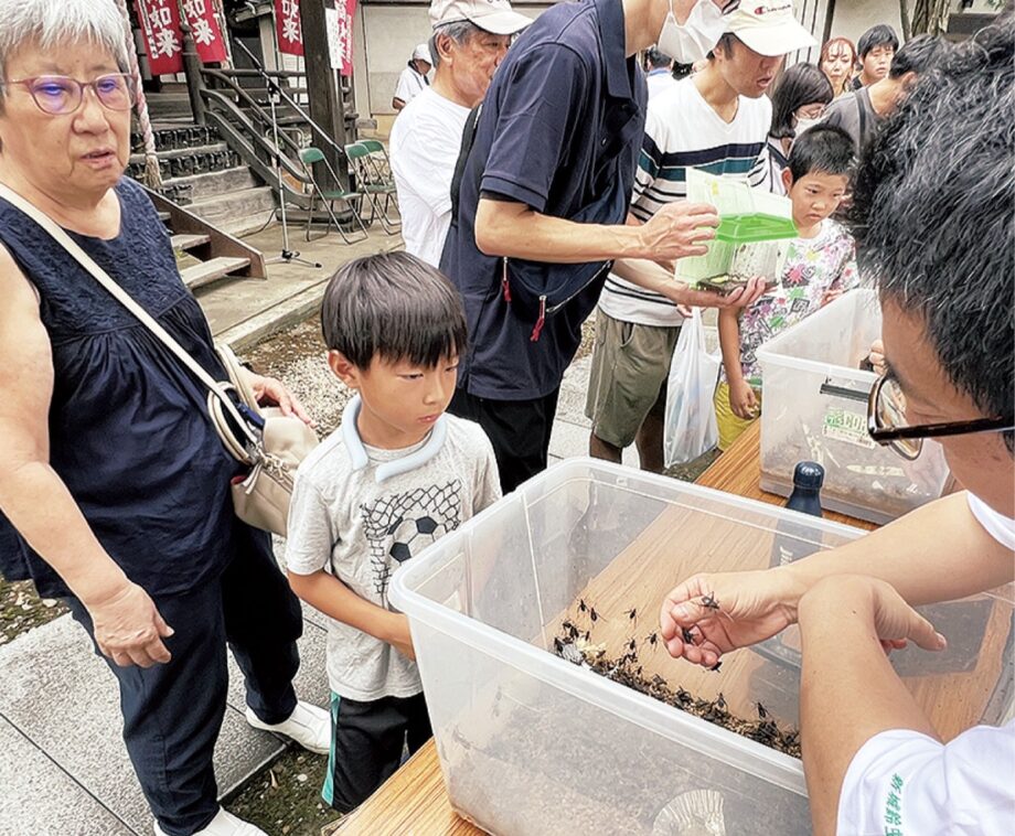 ＜川崎市中原区＞常楽寺で2024年も恒例の「かわさき鈴虫祭り」【８月25日】「命のリレー」を目指す