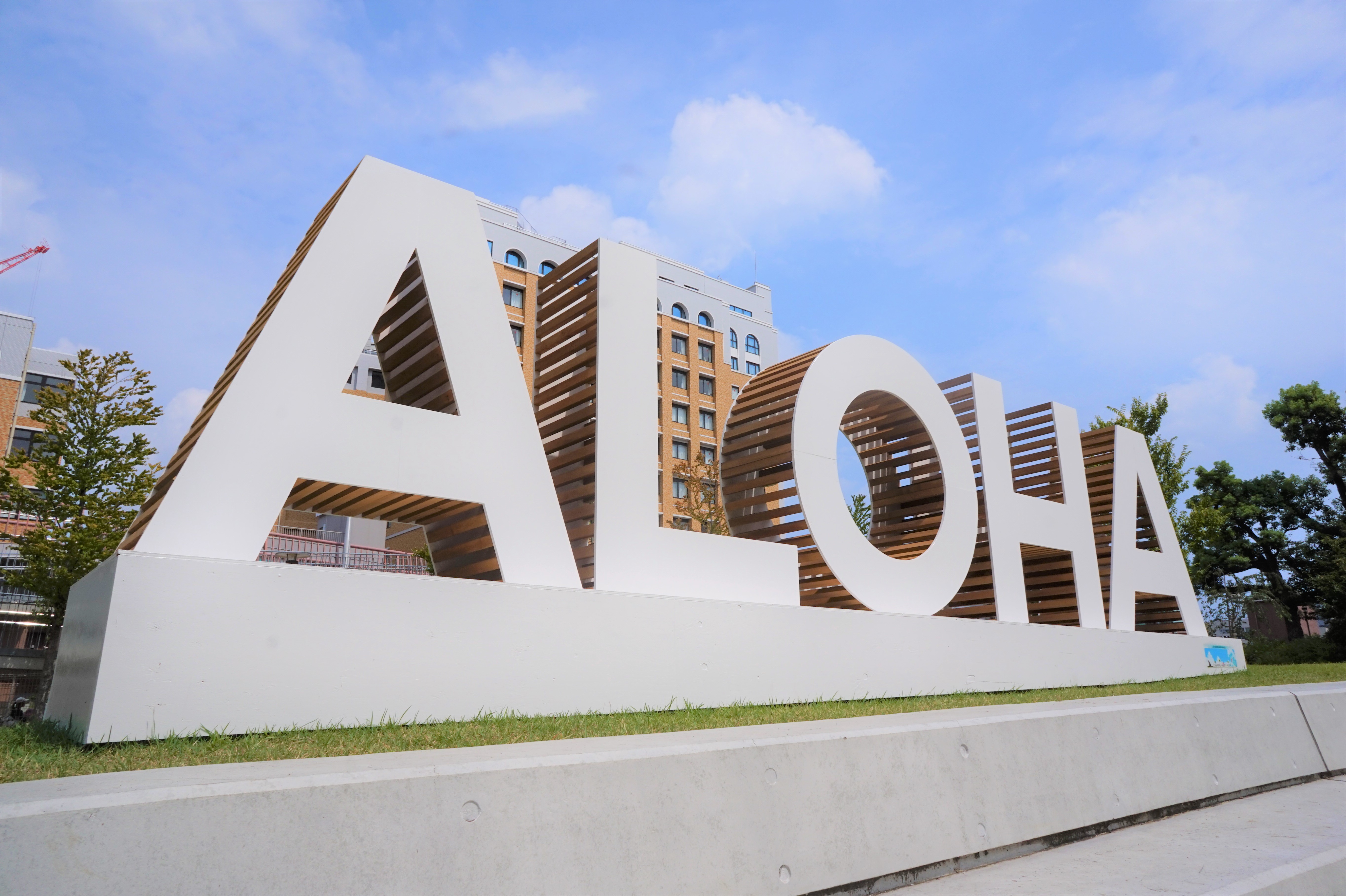 最新情報】aikoさんが茅ヶ崎で開催する野外ライブ“Love Like Aloha Vol