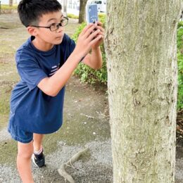 厚木の生物スマホで調査 専用アプリで撮影・投稿（2024年10月31日まで）