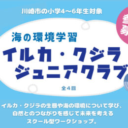 イルカ・クジラ ジュニアクラブ2024「ねんどでクジラをつくろう＆リバークリーンアップ 」