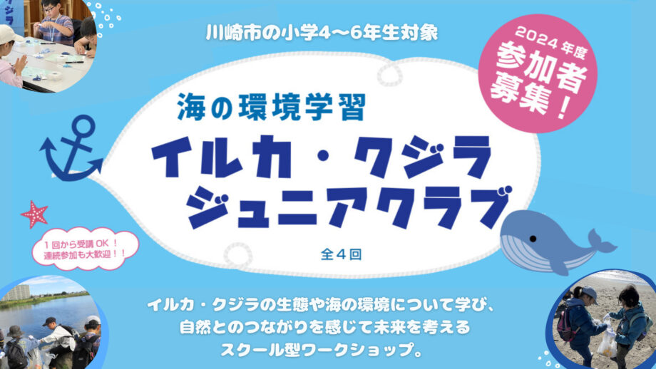 イルカ・クジラ ジュニアクラブ2024「ねんどでクジラをつくろう＆リバークリーンアップ 」