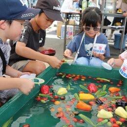 ＜千年町・新作第一町内会＞夏まつりで地域身近に 町会とＪＡ、協力し初企画【2024年8月30日】