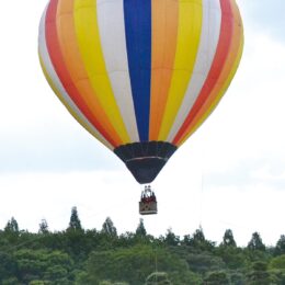 県立相模原公園で「相模のグルメ食散歩フェスタ」９月29日（日）熱気球の体験も