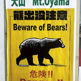 〈伊勢原市〉クマ出没に注意を