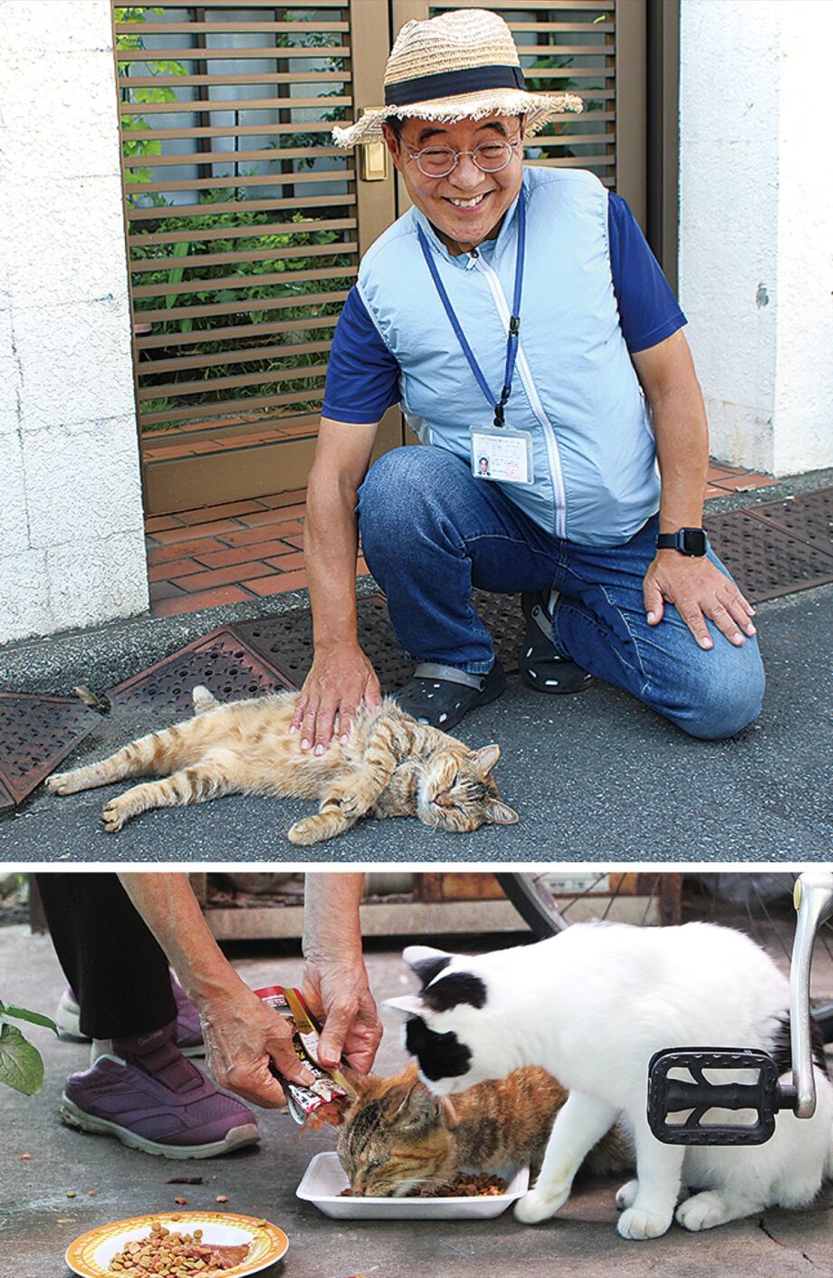 ＜川崎市中原区＞地域猫活動サポーターが適切な管理で被害防止！10月19日に制度説明会開催