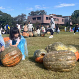 ＜2024年おばけカボチャ＞70kgを超えを転がそう！！＠大船フラワーセンターで10月31日㈭まで