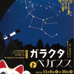 11/8～10・逗子市民劇団なんじゃもんじゃ『ガラクトとペガサス』逗子文化プラザで公演