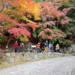 晩秋の紅葉・はじめての森林セラピー