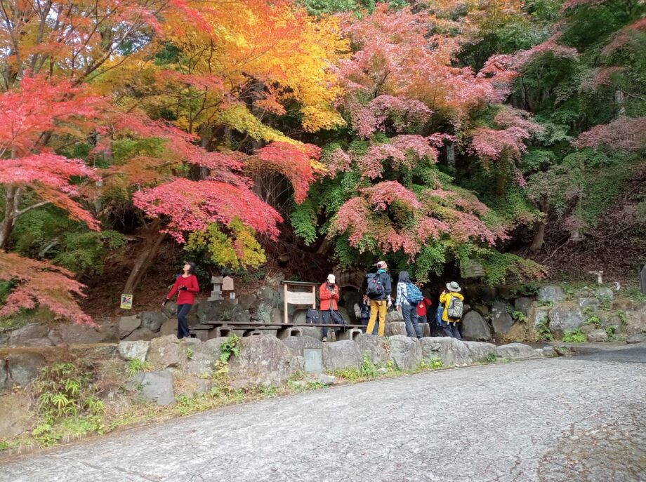 晩秋の紅葉・はじめての森林セラピー