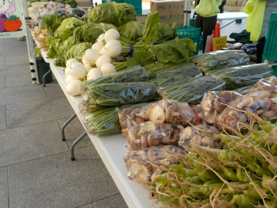 【11月9日開催】茅ヶ崎市役所前広場で今が旬の茅ヶ崎産野菜や花を販売。茅ヶ崎の秋の恵みが楽しめる農業まつり