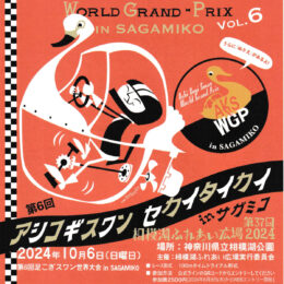 「足こぎスワン世界大会」県立相模湖公園（相模原市緑区）で10月６日（日）　健康まつりも同時開催