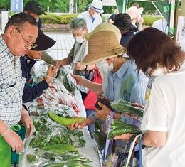 【10月25日(金)】保土ケ谷区役所前で「ほどがや朝市」