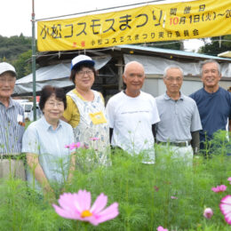 毎年恒例の「小松コスモスまつり」が10月20日（日）まで、小松コスモス園（相模原市緑区）で開催中