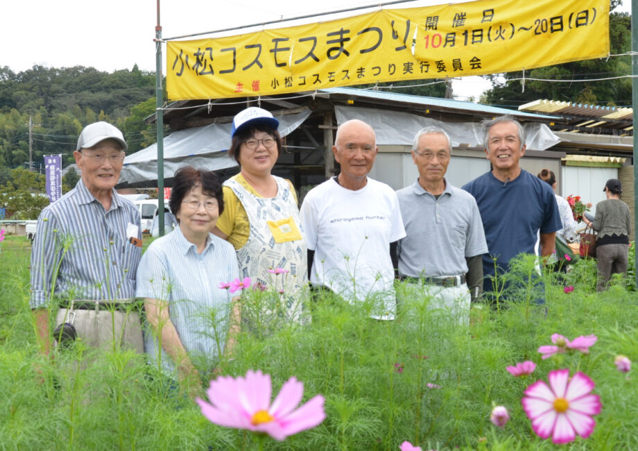 毎年恒例の「小松コスモスまつり」が10月20日（日）まで、小松コスモス園（相模原市緑区）で開催中