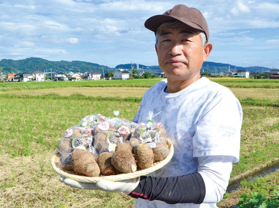 「開成弥一芋」ブランド化順調！１０年で出荷量５倍に