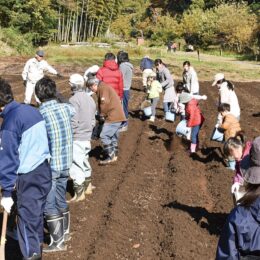 茅ヶ崎里山公園で親子で学ぶ小麦講座（全６回）～種まきから、うどん作りまで～うみかぜテラス主催